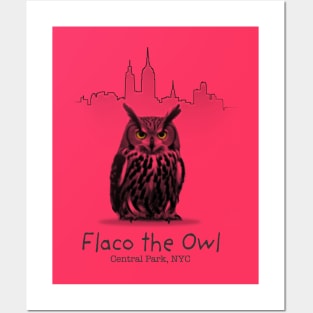 Flaco in NYC Posters and Art